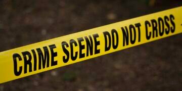 No arrests in July 4 murder of ex-Gipson aide