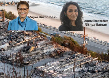 LA mayoral race collides with Palisades business recovery