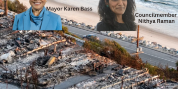 LA mayoral race collides with Palisades business recovery